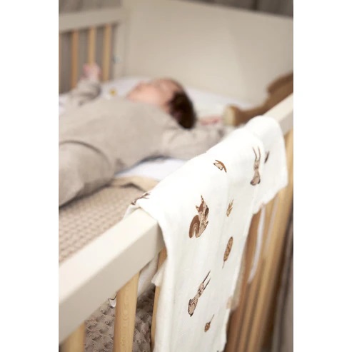 Meyco Muselina 120X120 Pack X2 Forest Animals Toffee