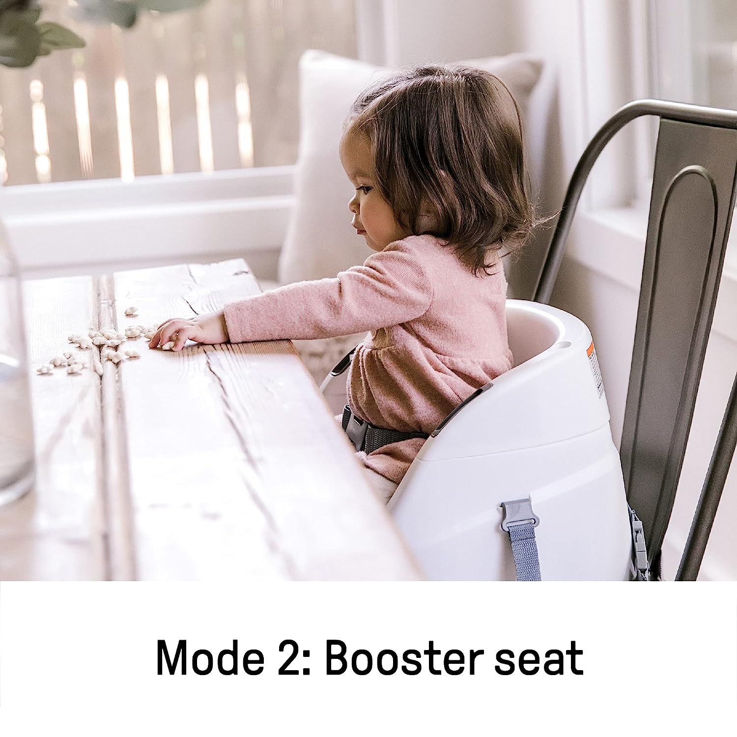 Booster Simplicity Seat Oat