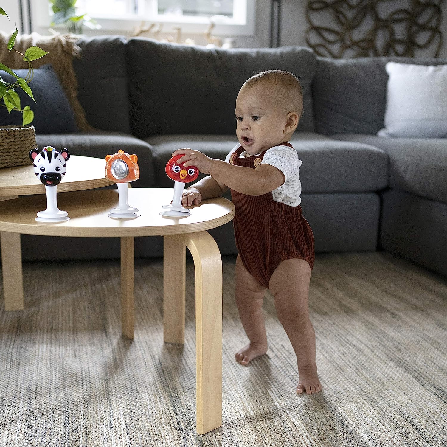 Baby Einstein trio Take Along