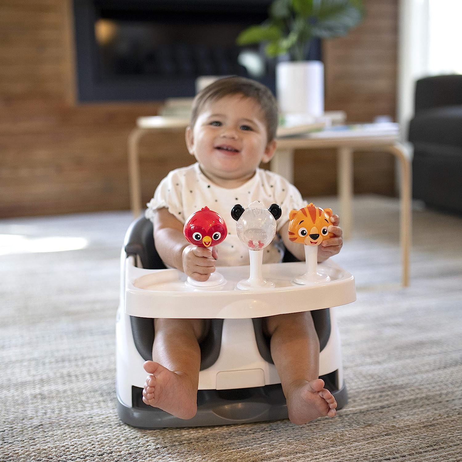 Baby Einstein trio Take Along