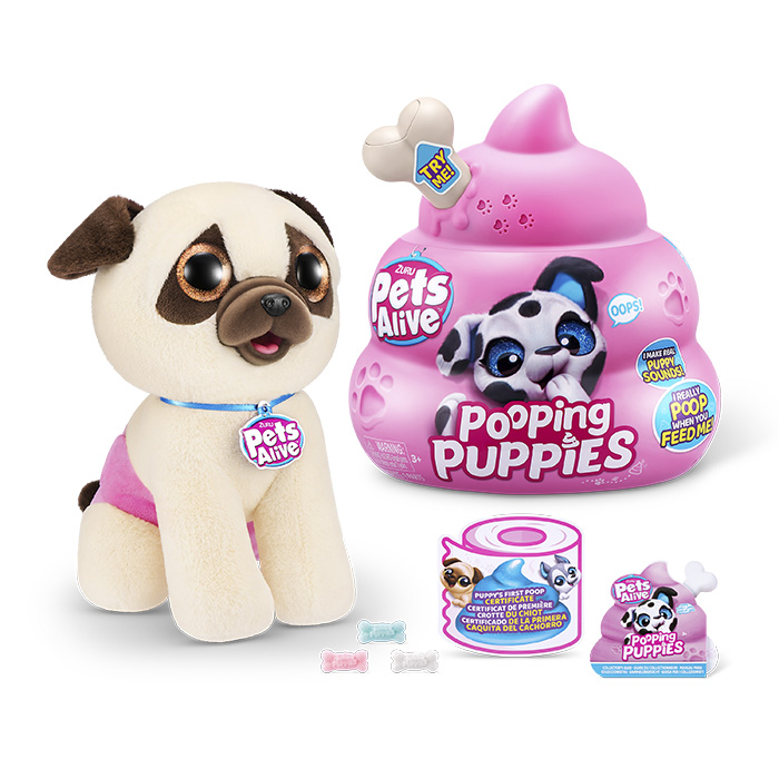 DIDACTA Pets Aliva Mascota Come y va al Baño