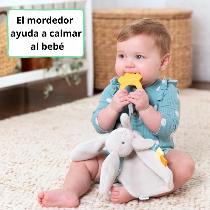 Brigth Starts Manta de Apego Sylvi